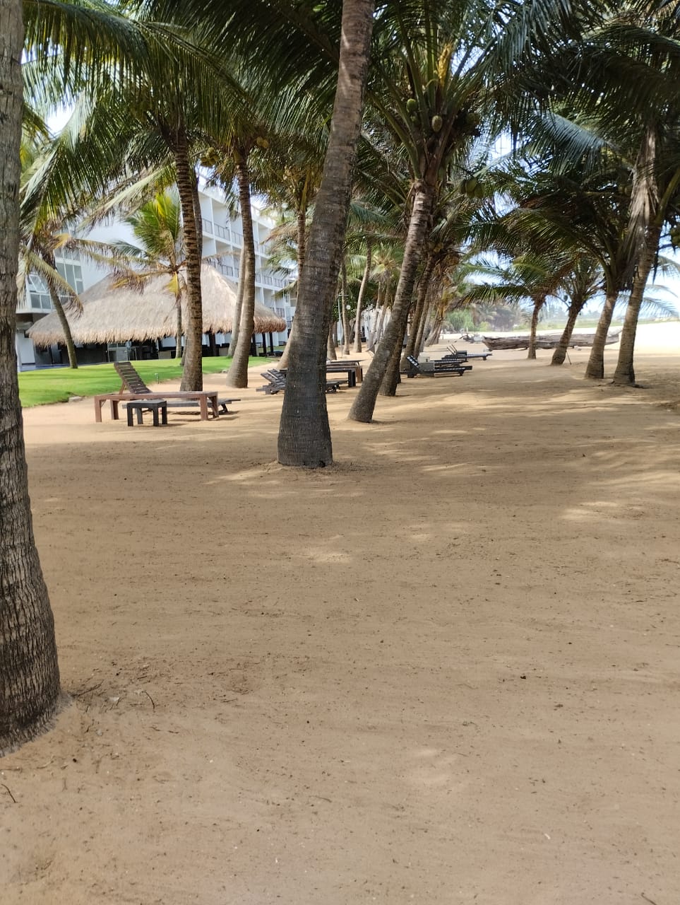 WhatsApp Image 2025-09-03 at 12.36.06_8bc8a2c6