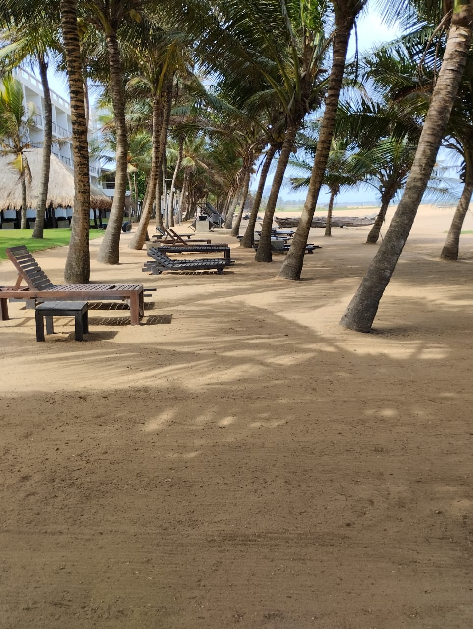 WhatsApp Image 2025-09-03 at 12.36.09_9d2edf88