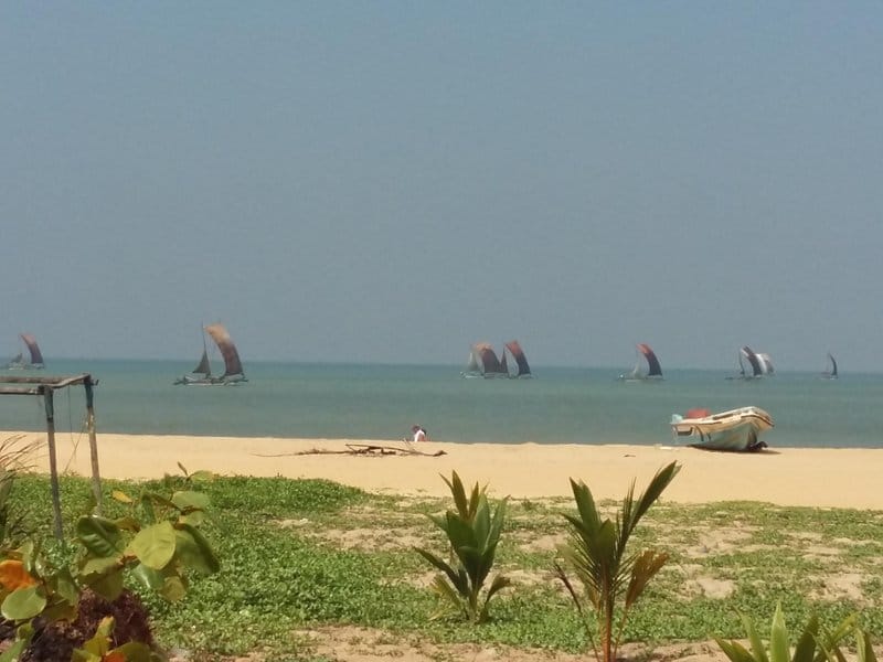 WhatsApp Image 2025-09-03 at 12.36.10_a2d6dbf4